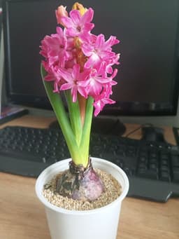 Ярина Профиль